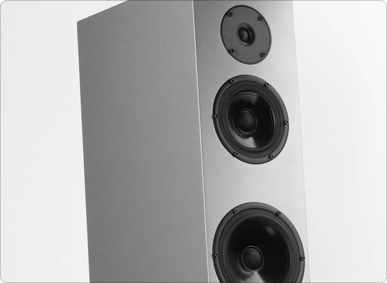 Pylon Audio Diamond 30 - cecha 3